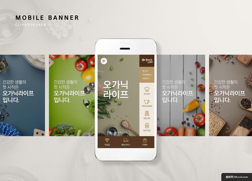 蔬果雜糧保健素食 健康食品APP研發(fā)與UI設計展示